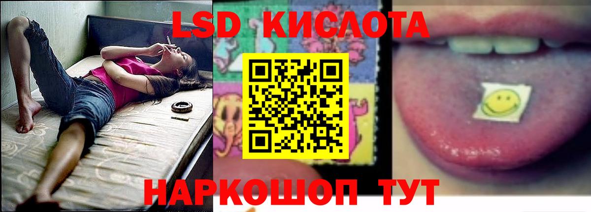 Полевской  Лсд 25 экстази ecstasy  Вход с VPN  Лсд 25 экстази  Лсд 25 экстази ecstasy 